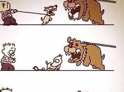 Spoznal niekto v tomto obrázku svojho psa? :D