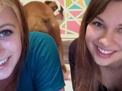 Čo si myslia psy o ženských profilovkách :D