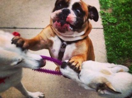 Chlapci! Kašlite na to! :D