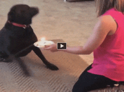 BRATM GIF: Narodeninové prekvapenie :D