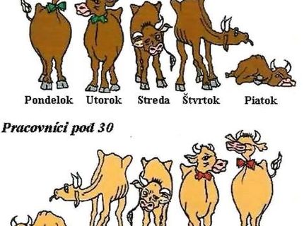 Pracovný kolobeh života :DDD