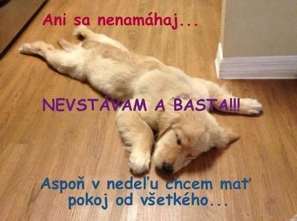 Sladké nedeľné odpočívanie :D