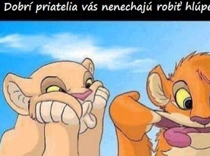 Čo pre vás urobia skutoční priatelia :)