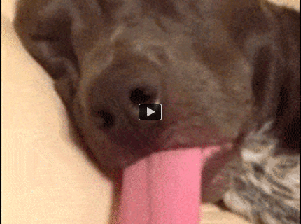 BRATM GIF: Takto vyzerá tuhý spánok :D