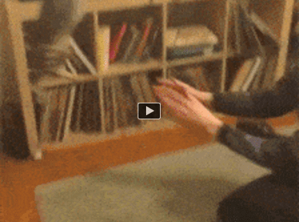 BRATM GIF: Aj mačky vedia lietať :D Tu je dôkaz!