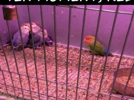 Reakcia žien na niektorých mužov :D :D :D Patríš medzi nich aj ty?