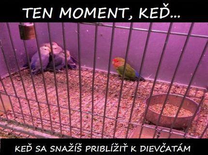 Deti a ich obľúbená toaleta :D :D :D