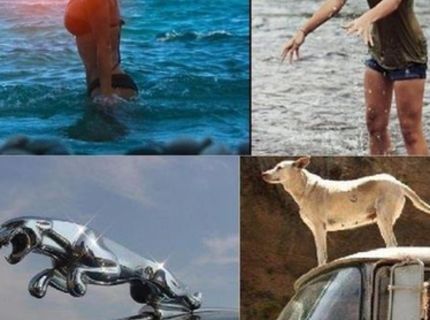 Ha- Ha :D Takto to môže dopadnúť, keď chcete napodobniť dokonalosť :D