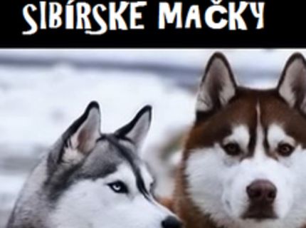 To najlepšie zo Sibíru :D