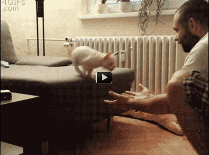 BRATM GIF: No tak kámo, dôveruj mi! :D