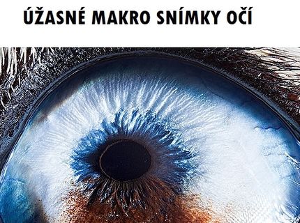 Úžasné makro fotografie zvieracích očí :) Taktiež pozri, ako vyzerá makro snímka ľudského oka :)
