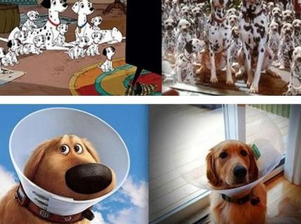 Najznámejšie zvieratká v rozprávkach a ich živá verzia :D