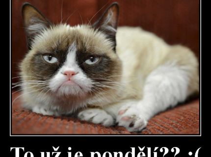 To už je pondělí?? :(