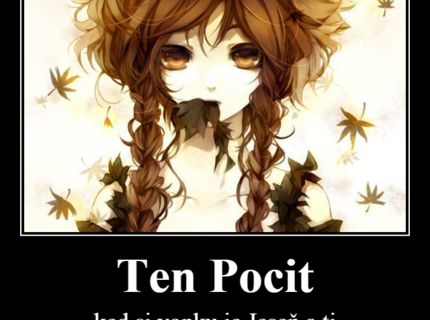 Ten Pocit