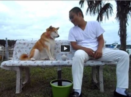 TOTO JE PES ZÁKERNÍK! :D