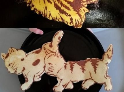 Séria najkreatívnejších palaciniek, aké si kedy videl :D