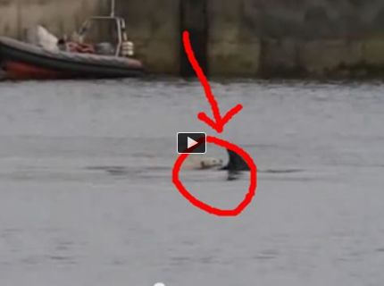 Haluzní kamaráti! :D