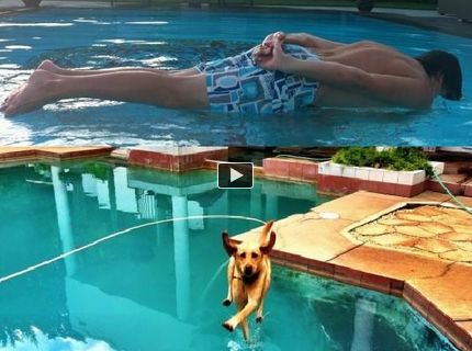 Neočakávaná reakcia opice na mango! :D