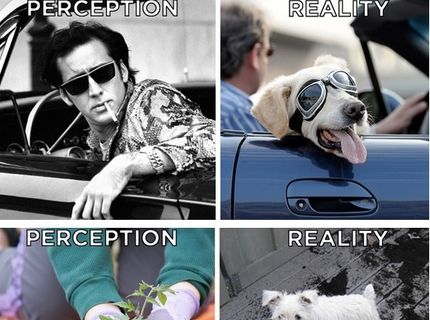 Predstava vs. realita :D :D :D