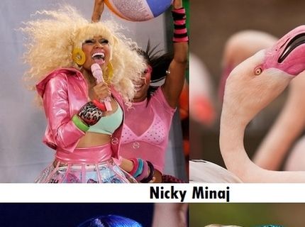 Celebrity, ktoré nám pripomínajú rôznych vtákov :D Celkom to sedí. nie? :D