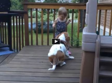 Pozri si video tohoto malého dievčatka s jej rozkošným basetom :)