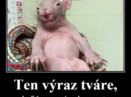 Toto ocení každá žena :)