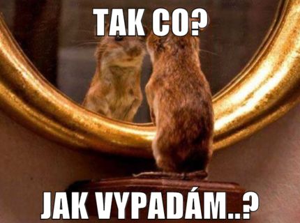Tak co?