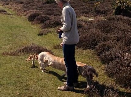 Panoramatické fotografie dokážu byť skutočne krásne :) Nie však vždy sa to podarí :D