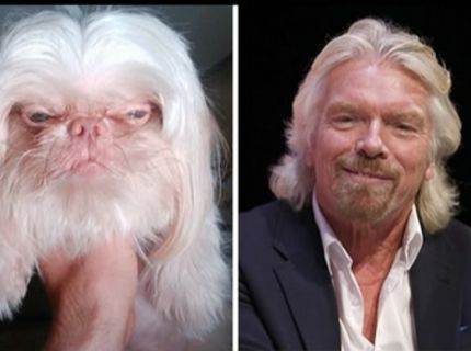 Aj zvieratá majú svojich dvojníkov! :D Pozri si tie najlepšie podoby z celého sveta :) (15 foto)