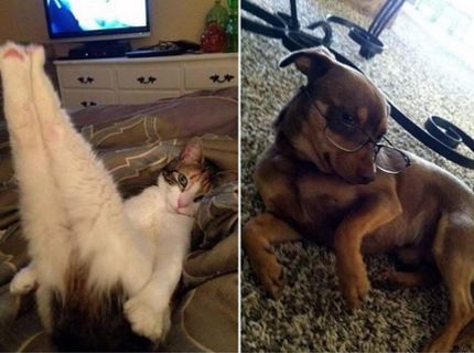 Nakreslíš ma ako tie francúzske dievčatá? :D