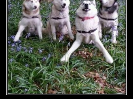 Nikto z nás nie je výnimkou :D Súhlasíš?