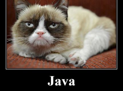 Java