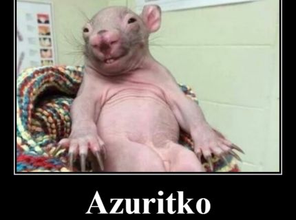 Azuritko