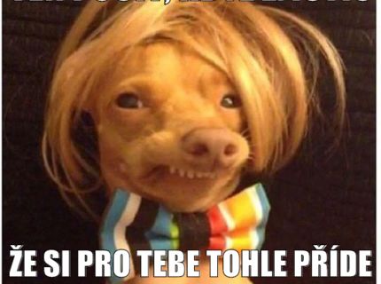 poprvé v tanečních