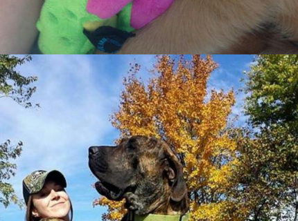 Krásne! Seria foto ti ukáže lasku k štvornohým miláčikom:) Vol 2