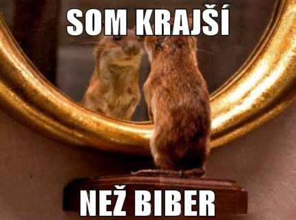 BiBeR