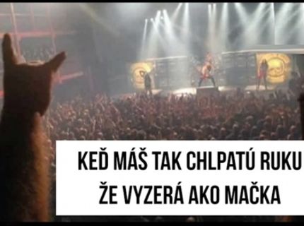Chlpatý kamarát na koncerte :D :)