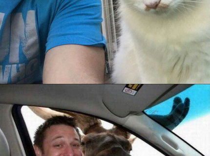 (5 foto) Top zvieracie selfie, ktore sa dostali na net! :) Cast 5