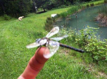 Kašlem na makro :) :)