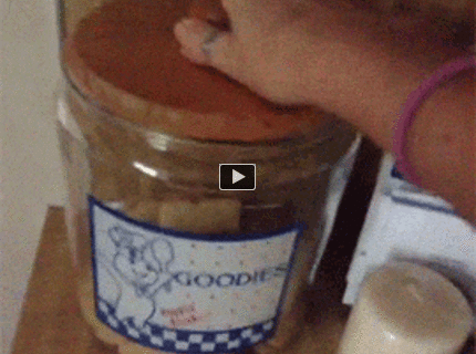 Pes a pochutina :) :) :)