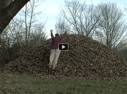 Skok do lístia :D :D :D :D :D