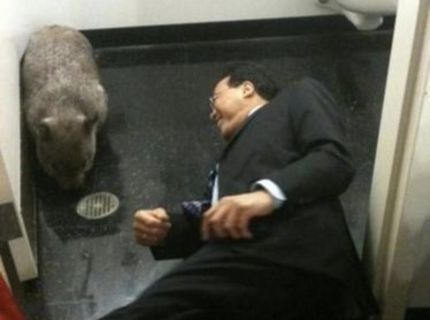 Podivná fotografia :D :D :D