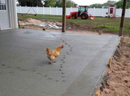 Zopár dôvodov, prečo by si mal milovať zver okolo seba :D Séria foto #5