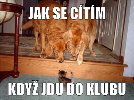 jak se cítím