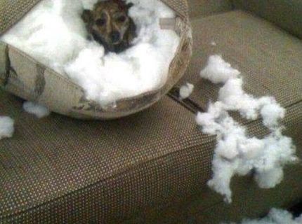 Bola mi zima...tak som si vyrobil iglu :)