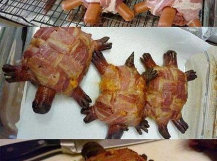 To je papina .. Chutné pečené korytnačky :) :)