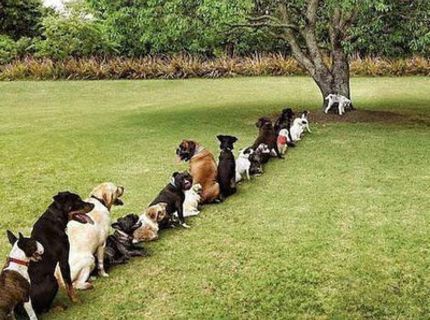 Disciplína musí byť :)