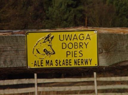 Najlepší priateľ človeka :)