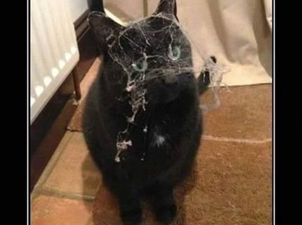 Nikto sa sa ňou nemazná :)