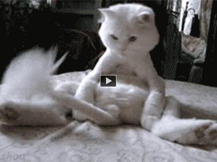 Čože to mám???? :) :)